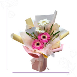 Encanto Gerberas